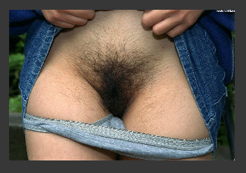 Hairy Crotch Pics